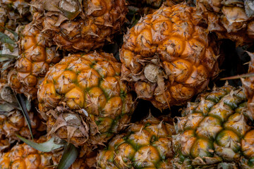 Ripe pineapple Victoria for sale at a market in Mauritius. Pineapple texture background.