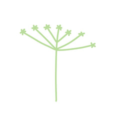 Dill in doodle style. Meadow green plant and spice. Simple natural grass. Cartoon illustration