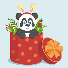 Cute panda in a red big box with branches, leaves and Christmas decor. Holiday concept.