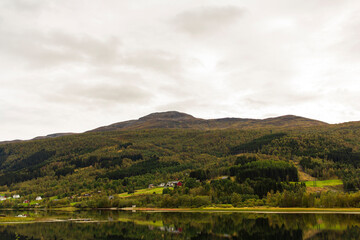 Fototapeta premium Colorful traditional Norwegian houses near the sea with green forest on mountains and blue sky