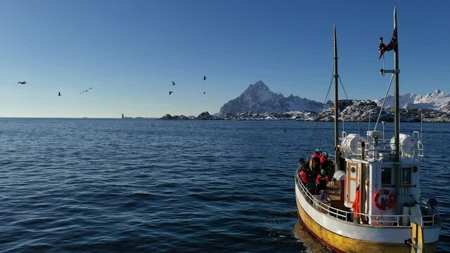 Fishing boat in skrei season in Lofoten, Norway.