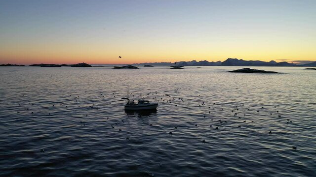 Fishing boat in skrei season in Lofoten, Norway.