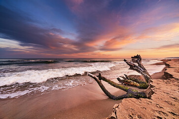 Sunset on the beach