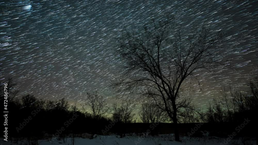 Wall mural stary nighttime lapse with stars as comet trails. winter scene with a large tree in the foreground. 