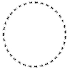 Ant trail A line of worker ants marching in search of food Vector illustration horizontal banner Ant road column Teamwork Hard work metaphor Black insect silhouettes traveling Isolated