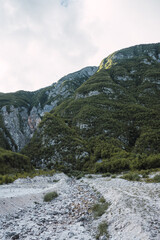 landscape of a forest with mountains and trees
