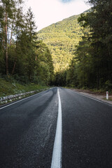 Fototapeta premium road through a forest with trees