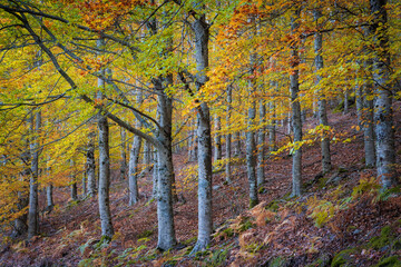 Hillside colorful autumn landscape at Manteigas - Serra da Estrela - Portugal.