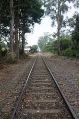 Fototapeta premium Vias de Tren