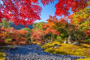Selbstklebende Fototapeten 京都　宝厳院の紅葉 © スプやん