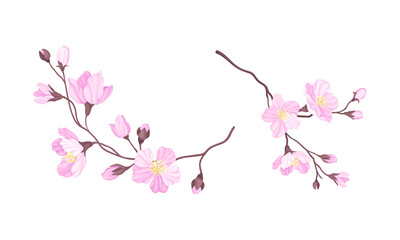 Set of branches of blossoming cherry tree. Sakura twigs with pink flowers vector illustration