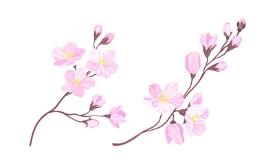 Sakura twigs with pink flowers set. Blooming cherry tree branches vector illustration