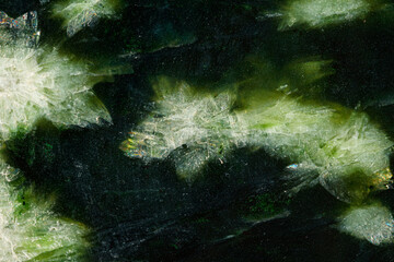 Obraz na płótnie Canvas Macro stone Nephrite mineral on white background