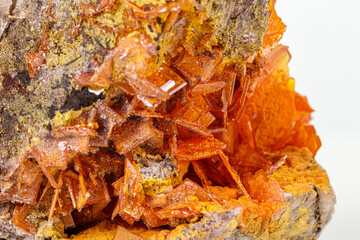 Macro stone mineral Wulfenite on a white background