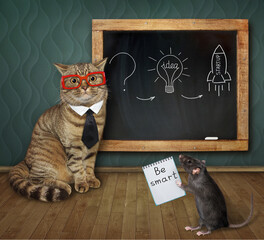 A beige cat teacher in glasses and a tie  is giving a lesson near a chalkboard.