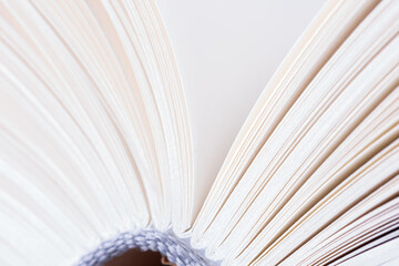 Macro view, edges of opened book