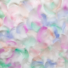 Fototapeta na wymiar bird feather for background image. Beautiful background from multi-colored feathers.