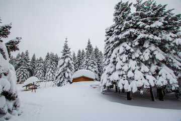 Fantastic winter landscape with wooden house in snowy mountains. Christmas holiday concept. Uludag mountain Bursa Turkey