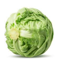 Obraz premium Cabbage isolated on white background
