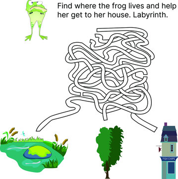 Maze Game With Frog . Cartoon Labyrinth Education Puzzle.Find Where The Frog Lives And Help Her Get To Her House. Labyrinth. Puzzle. Vector Kids Activity Worksheet.