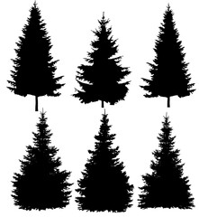 Set of Christmas trees vector.