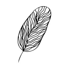 Leaves in doodle style Vector illustration. Hand drawn line art leaves on white background.	
