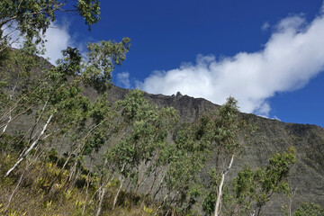 Fototapeta premium Chemins de randonnée sur l'île de la Réunion dans le cirque de Mafate en direction de Marla