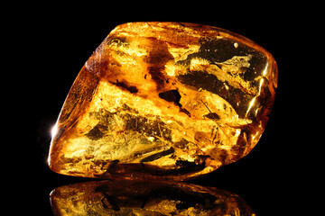 Amber. Beautiful transparent natural amber with mosquito on black background. Natural mineral with various inclusions, insects, bubbles