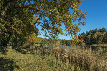 Sunny fall day on a rural lake.