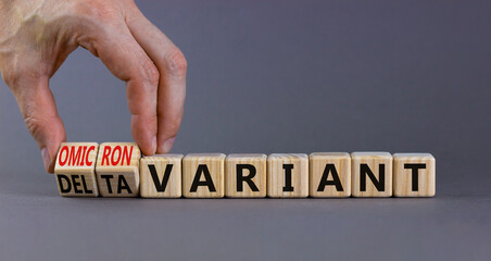 Covid-19 omicron variant symbol. Doctor turns cubes and changes words delta variant to omicron variant. Beautiful grey background. Medical, covid-19 and delta or omicron variant concept. Copy space.