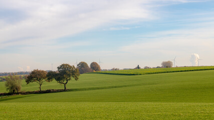 Autumn landscape of hilly countryside of South Limburg (Zuid-Limburg) Farmland and green grass field under blue sky, Wahlwiller is a village in the southern of the Dutch province, Limburg, Netherlands