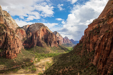 Naklejka premium Zion National Park