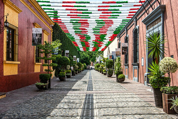 Tequila, Jalisco - obrazy, fototapety, plakaty