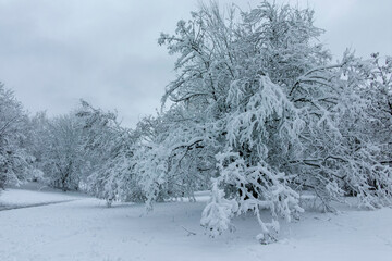 Winter view panorama of South Park in city of Sofia, Bulgaria