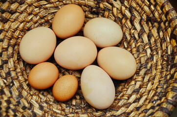 The lifestyle of the farm in the countryside, fresh eggs from the farm in the countryside
