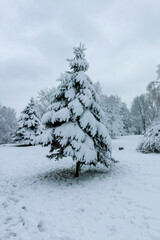 Winter view panorama of South Park in city of Sofia, Bulgaria