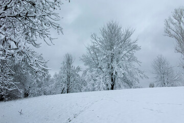 Winter view panorama of South Park in city of Sofia, Bulgaria