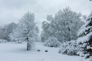Fototapeta premium Winter view panorama of South Park in city of Sofia, Bulgaria