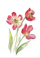 bouquet of red flowers