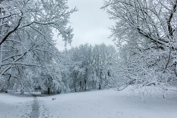 Winter view panorama of South Park in city of Sofia, Bulgaria