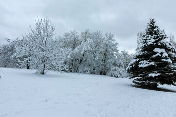 Winter view panorama of South Park in city of Sofia, Bulgaria