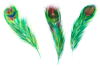 Set of bright elegant emerald peacock feathers. Festive animal illustration for decorating holiday cards, wrapping paper, gifts and banners. Handmade trendy stylish watercolor wallpaper or print.