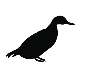Wild duck vector silhouette illustration isolated on white background. Wildlife fowl poultry symbol. Farm bird sign.