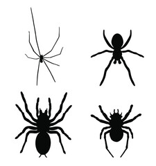 Set collection of spider vector silhouette illustration isolated on white background. Black widow tattoo sign. Daddy long legs spider, Phalangium opiliones. Tarantula symbol. 