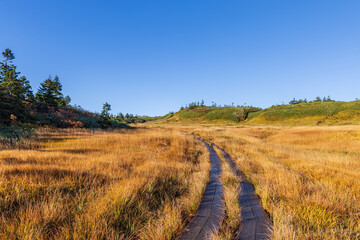 Fototapeta premium Towada Hachimantai National Park in Autumn