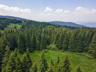 Aerial view of Konyarnika area at Vitosha Mountain, Bulgaria