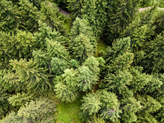 Aerial view of Konyarnika area at Vitosha Mountain, Bulgaria