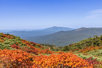 Towada Hachimantai National Park in Autumn