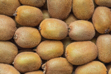 Fototapeta premium Kiwifruit