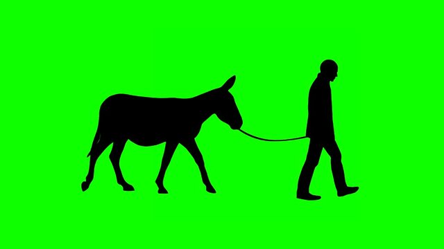 Man walking with a donkey, animation on the green background